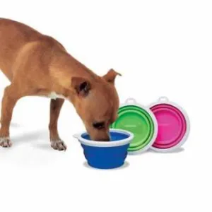 Bamboo Home Collapsible Travel Bowl for Dogs and Cats Supply, random color