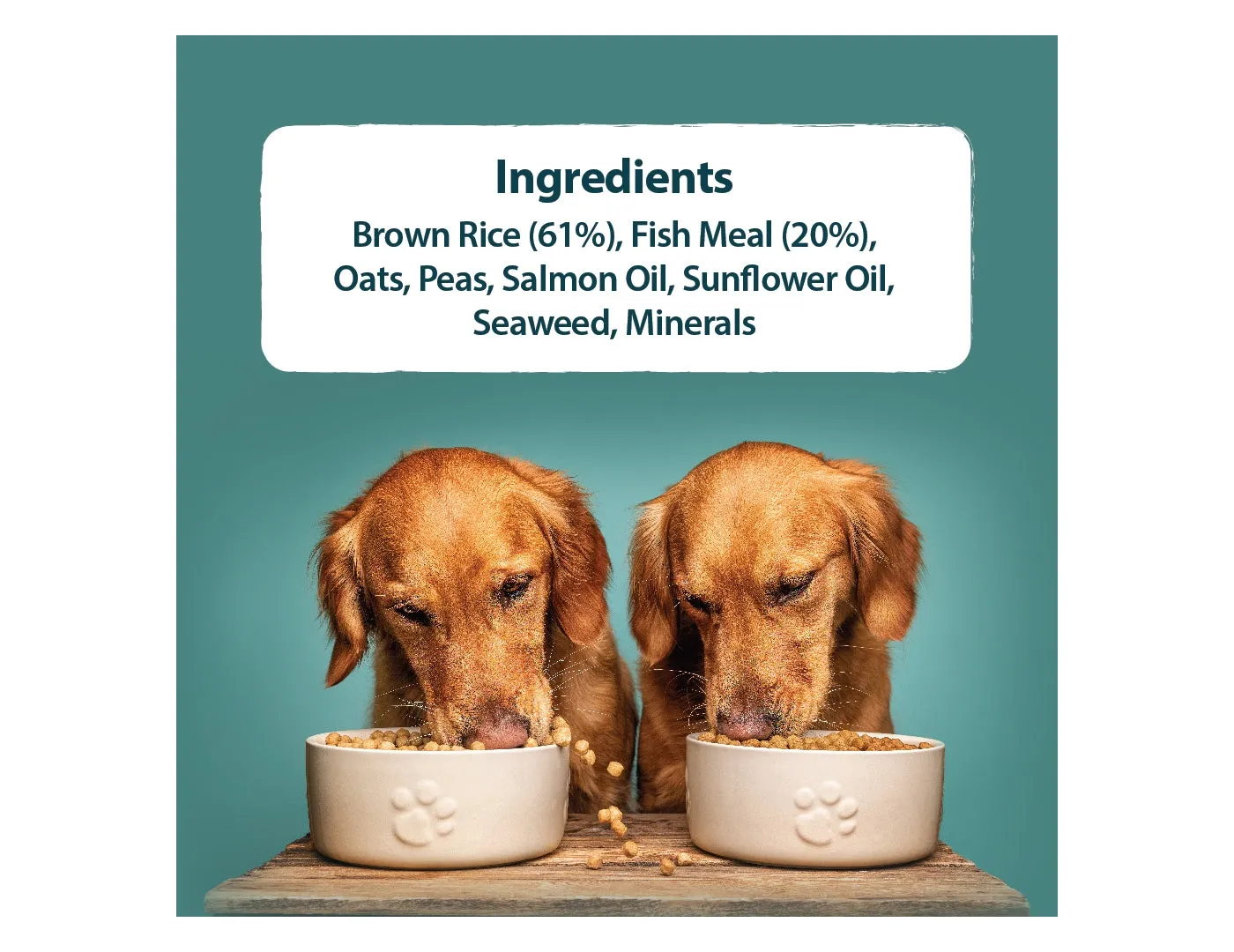 Burns - Original Adult/Senior Dog Food (Fish & Brown Rice)