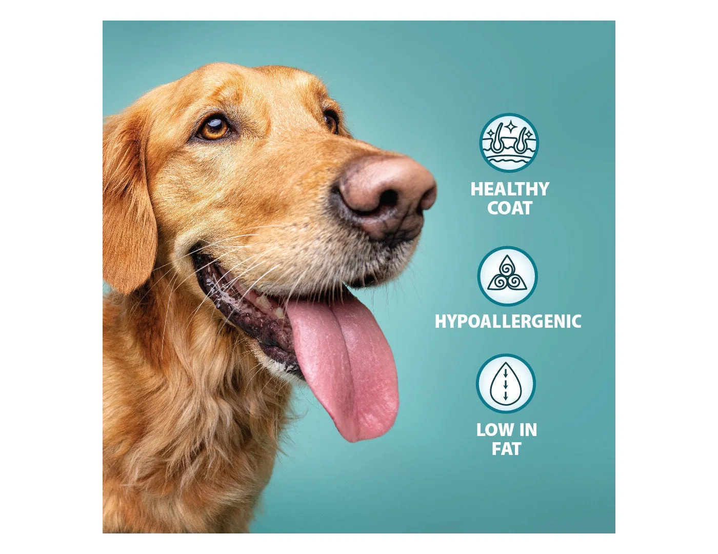 Burns - Original Adult/Senior Dog Food (Fish & Brown Rice)