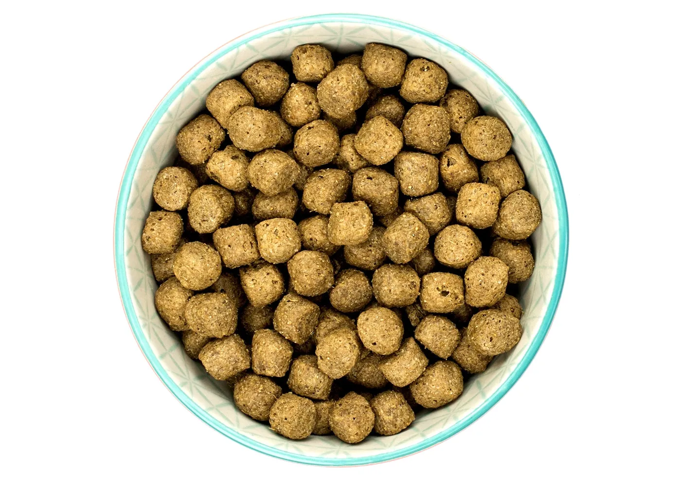 Burns - Original Adult/Senior Dog Food (Fish & Brown Rice)