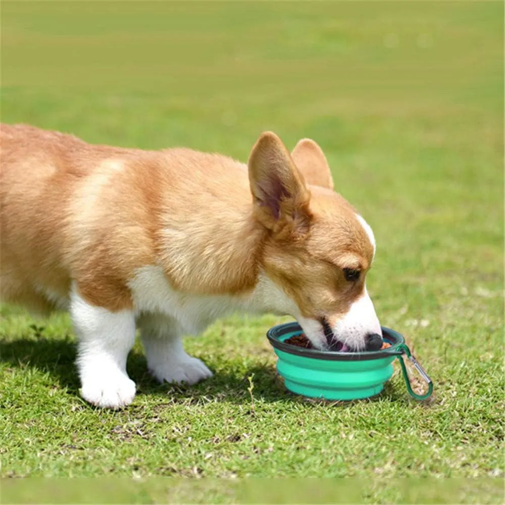 Collapsible Pet Bowl Dog Bowls 2 Pack, Portable Silicone Pet Feeder, Foldable Expandable for Dog/Cat Food Water Feeding, Travel Bowl for Camping (Light Blue Light Green)