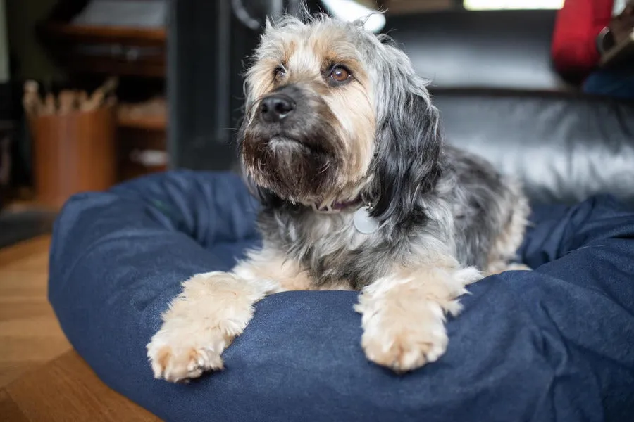 Denim dog bed covers