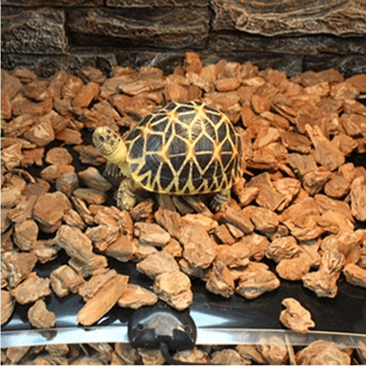 Heating Mat Reptile Adjustable Warmer Constant Temperature Bed Dropshipping for Reptile Amphibian Winter Tool