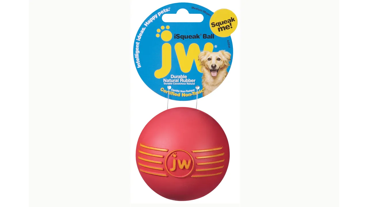 JW SQUEAK BALL