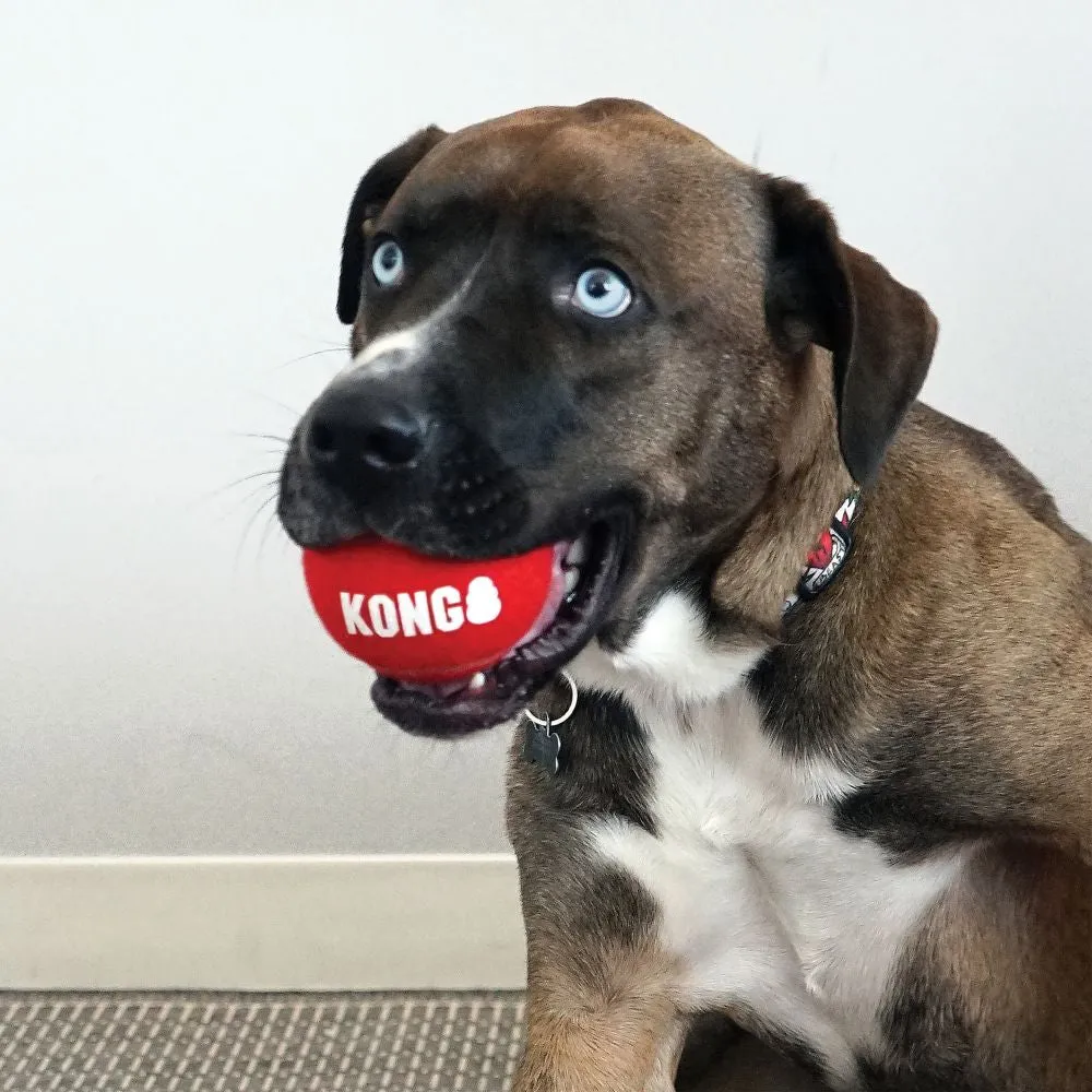 KONG - Signature Sports Balls (Small) (3pk)