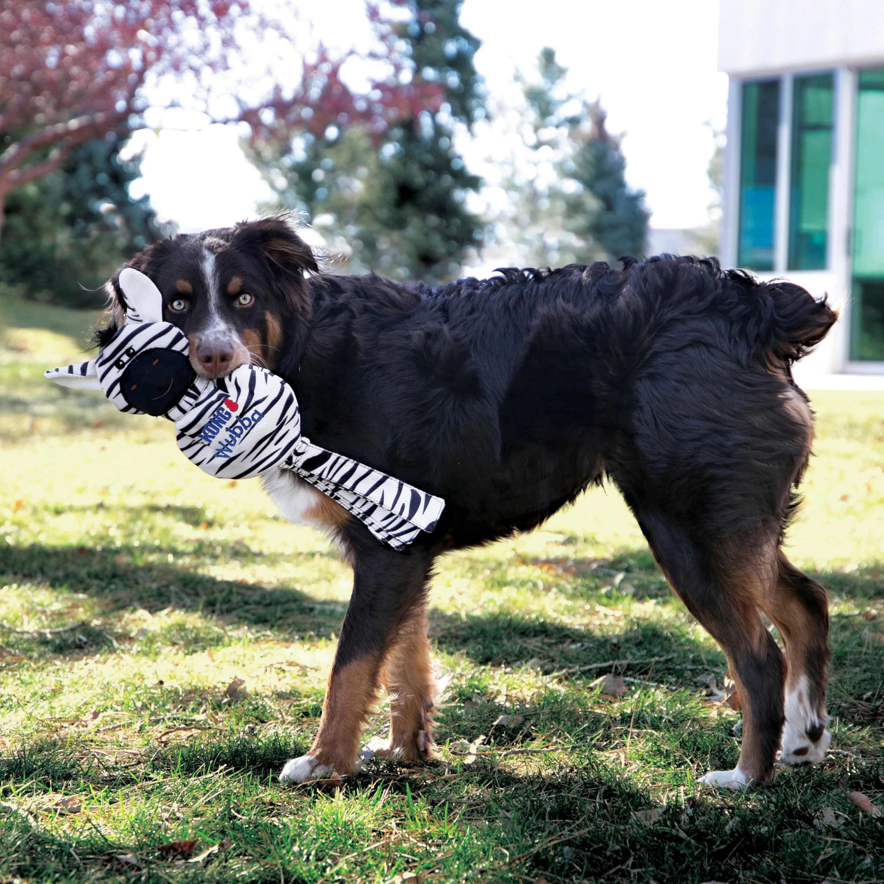 Kong Wubba No Stuffing
