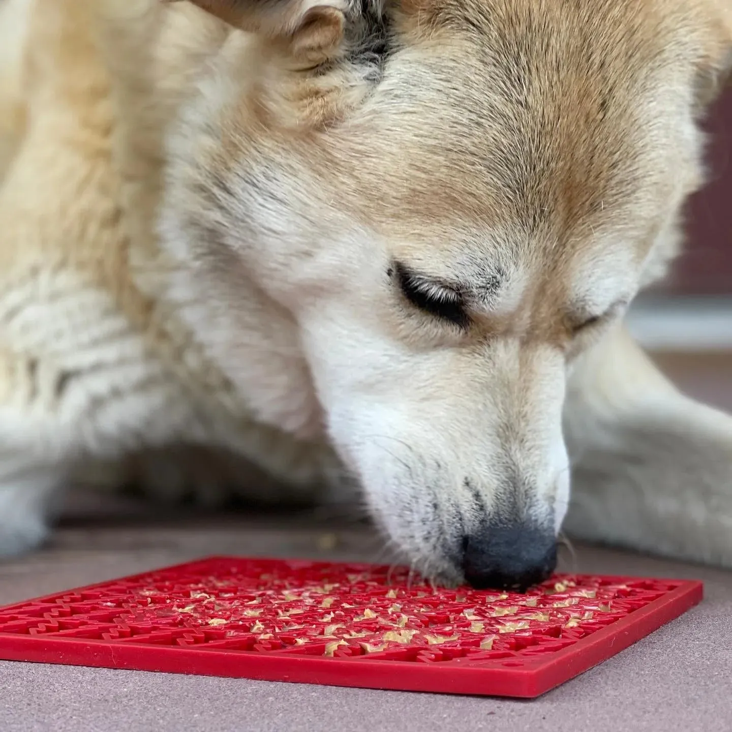 Lick Mat | Christmas Trees