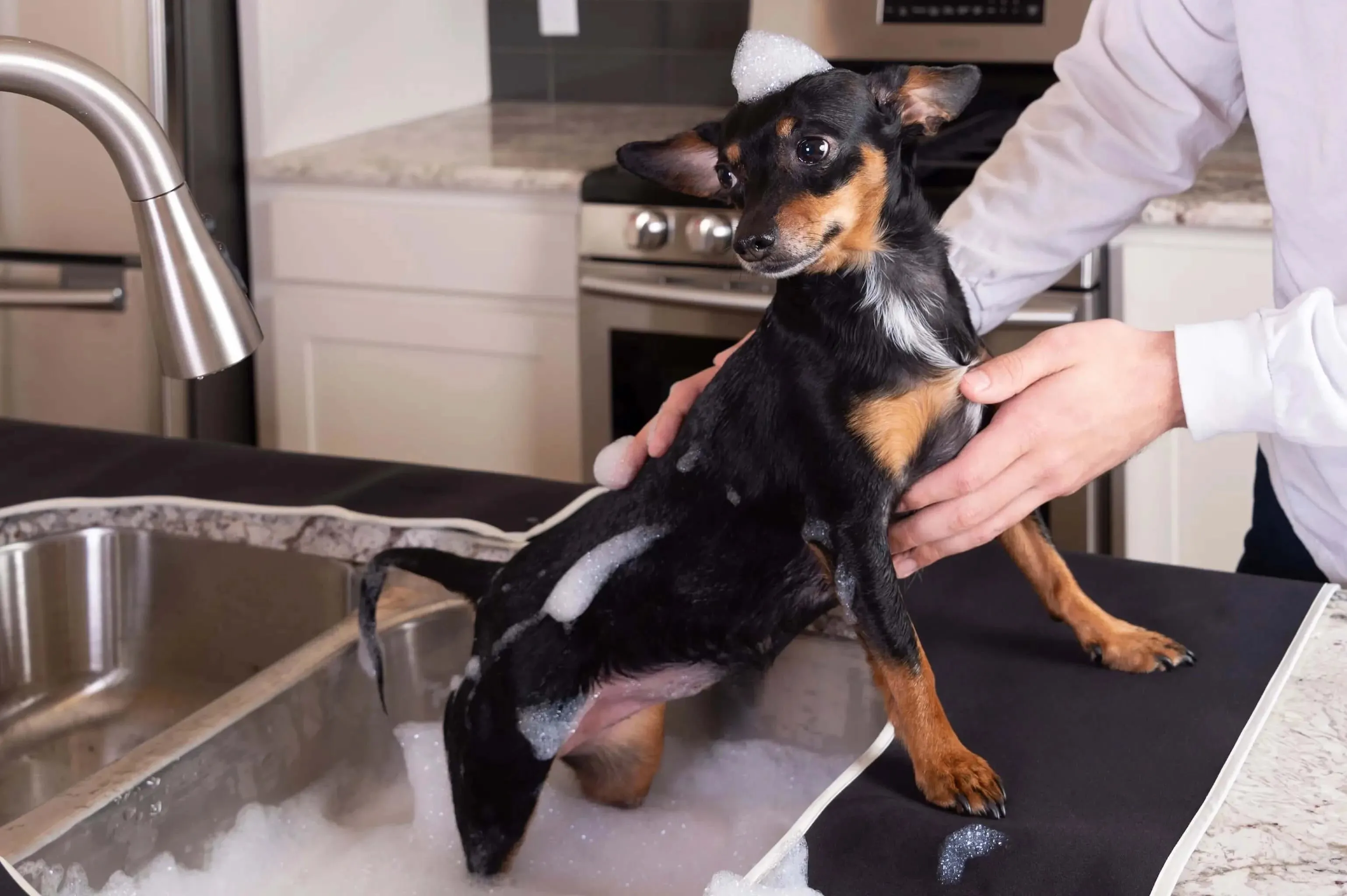 Pet Bath Sink Splash Guard