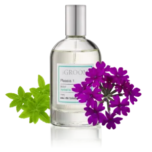 Pleasia 1 Perfume 100ml