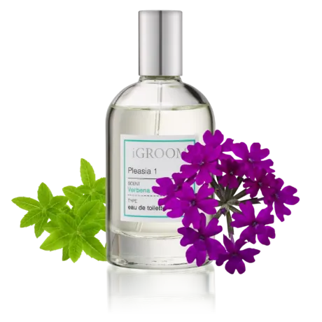 Pleasia 1 Perfume 100ml