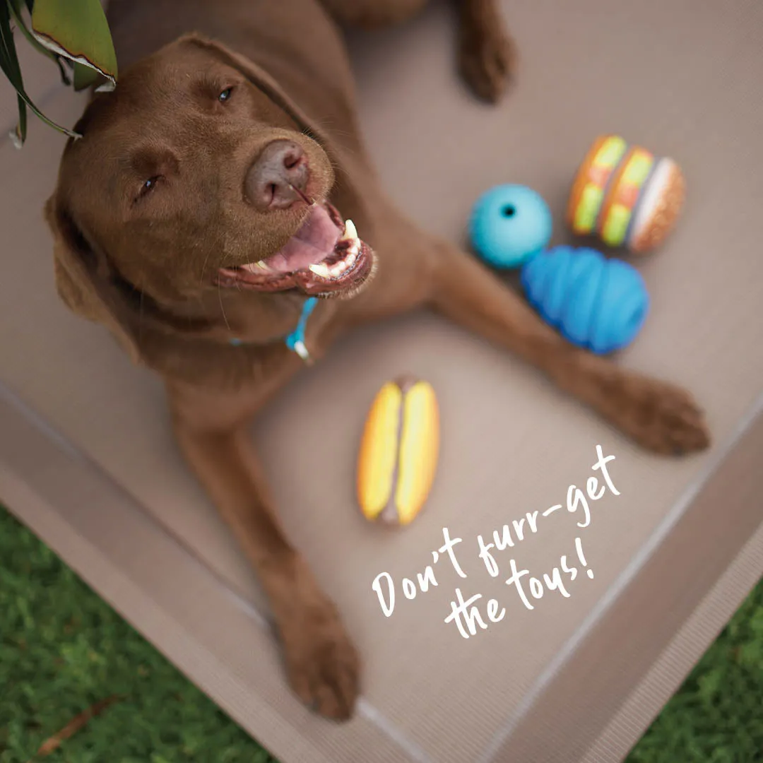 Premium Outdoor Dog Bed