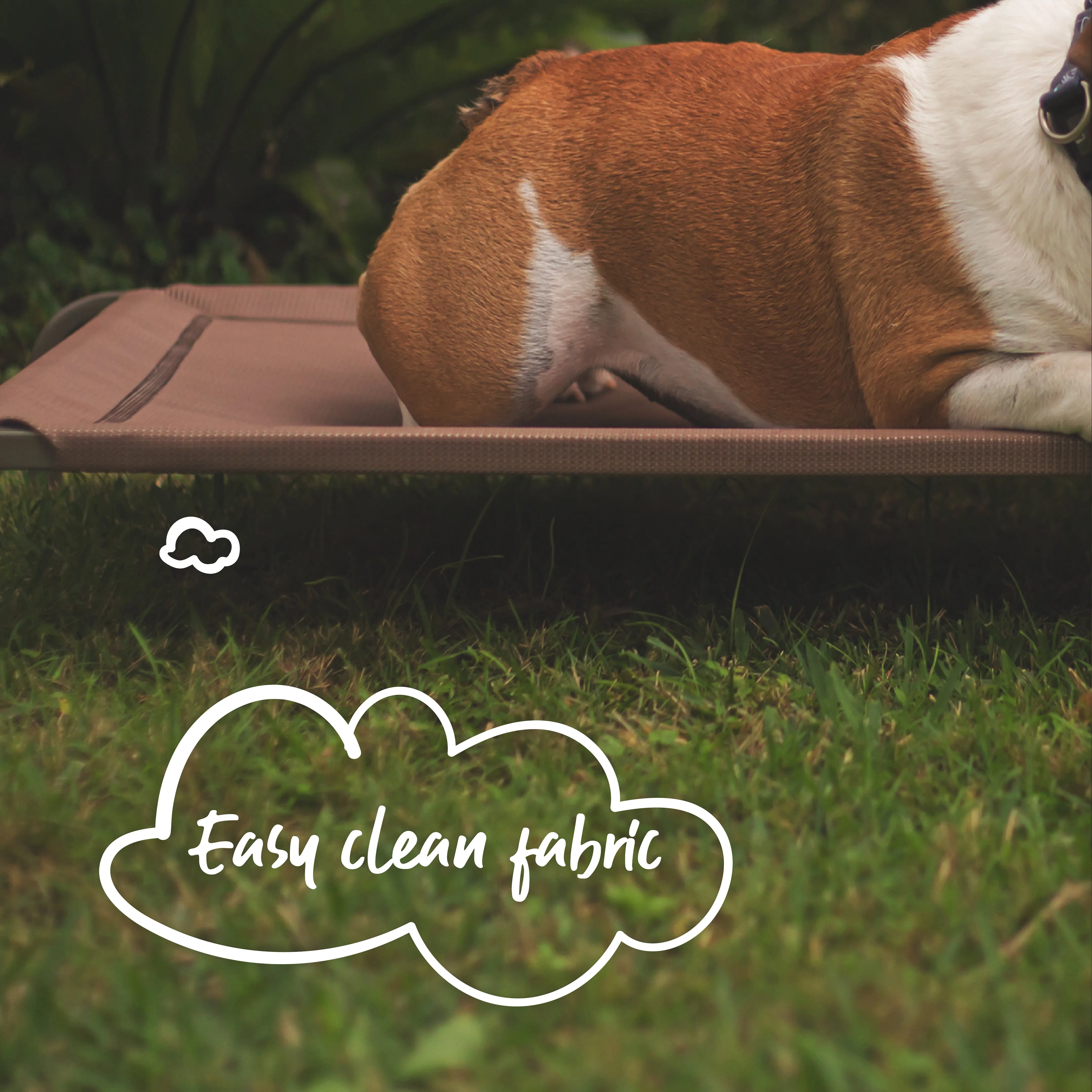 Premium Outdoor Dog Bed