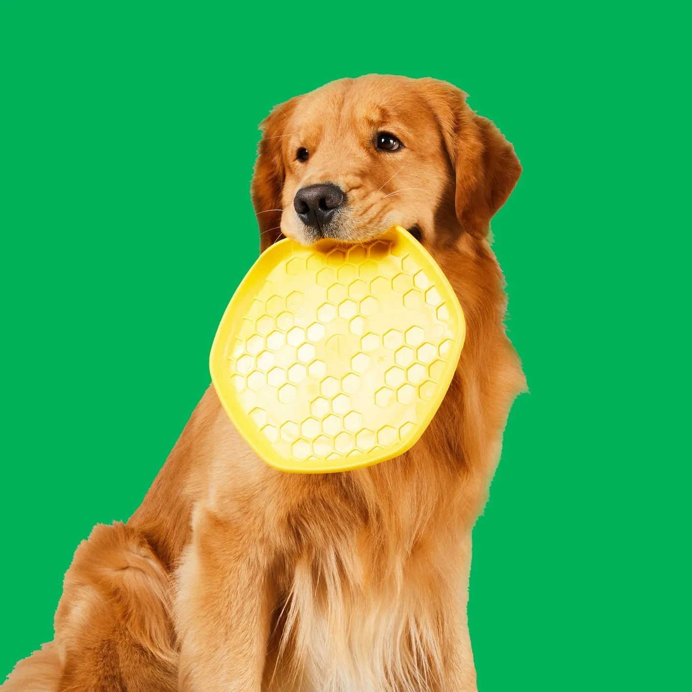 Project Hive Pet Company Hive Disc   Lick Mat Dog Toy (Yellow)