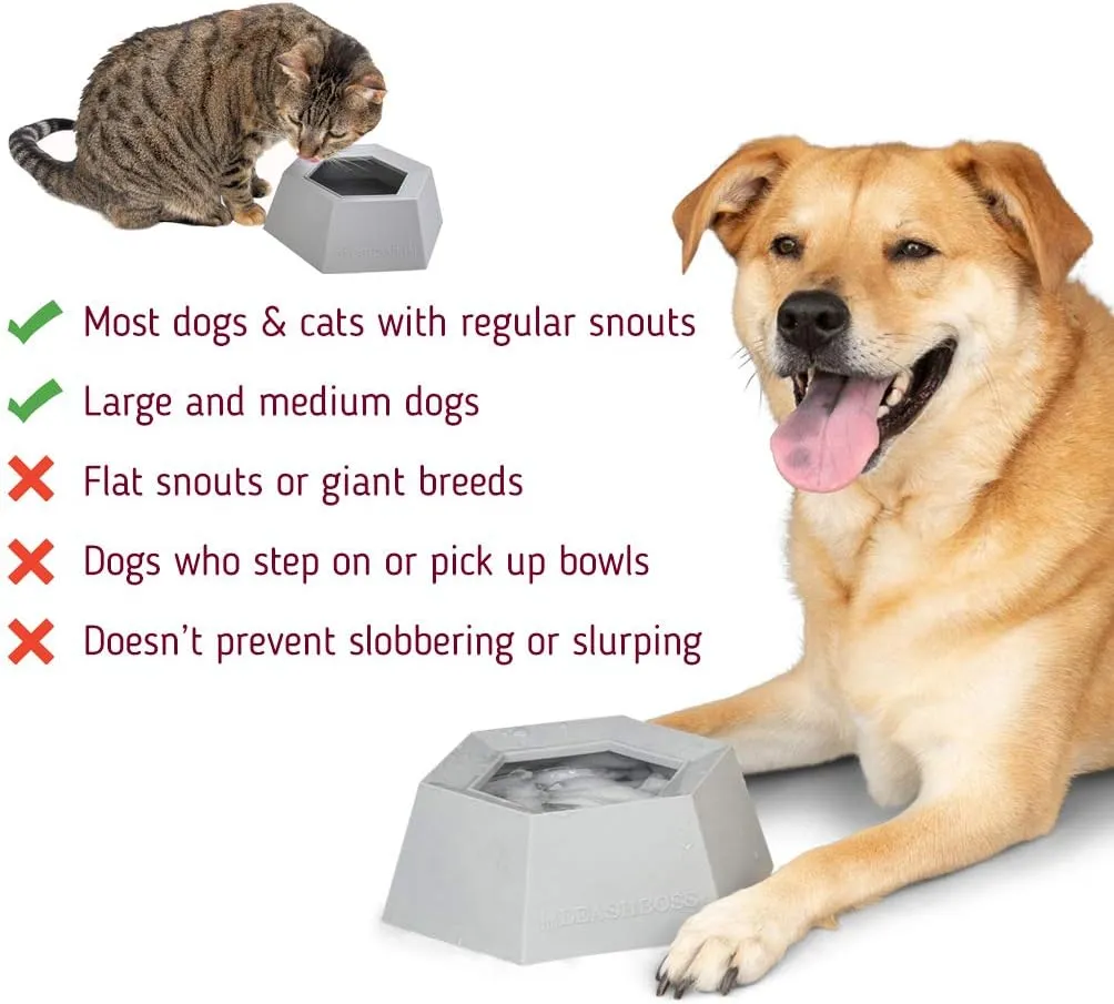 Splashless Travel Dog Water Bowl - Large Portable Silicone Car Bowl