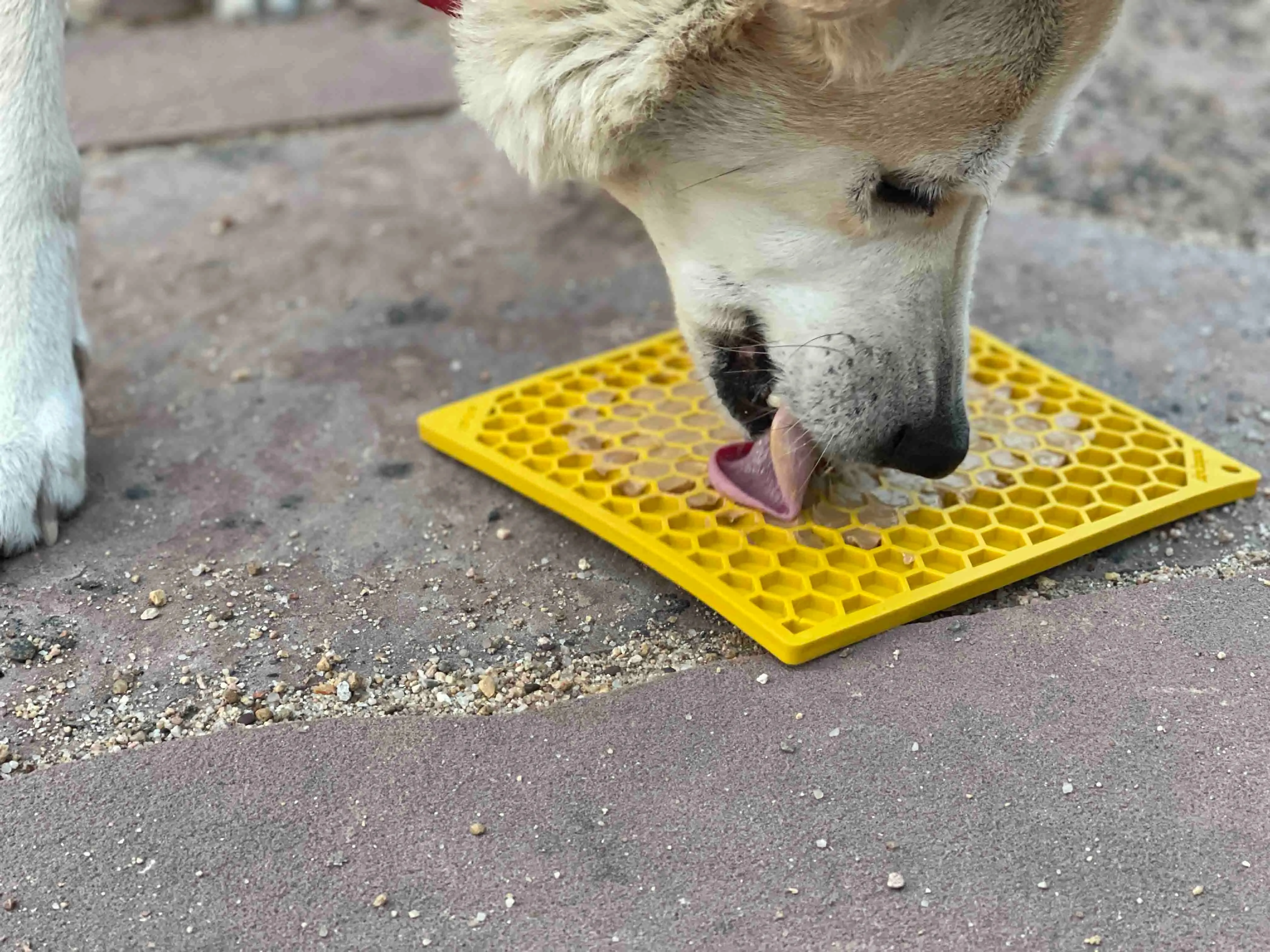 Yellow Honeycomb Slow Feeder Lick Mat for Dogs