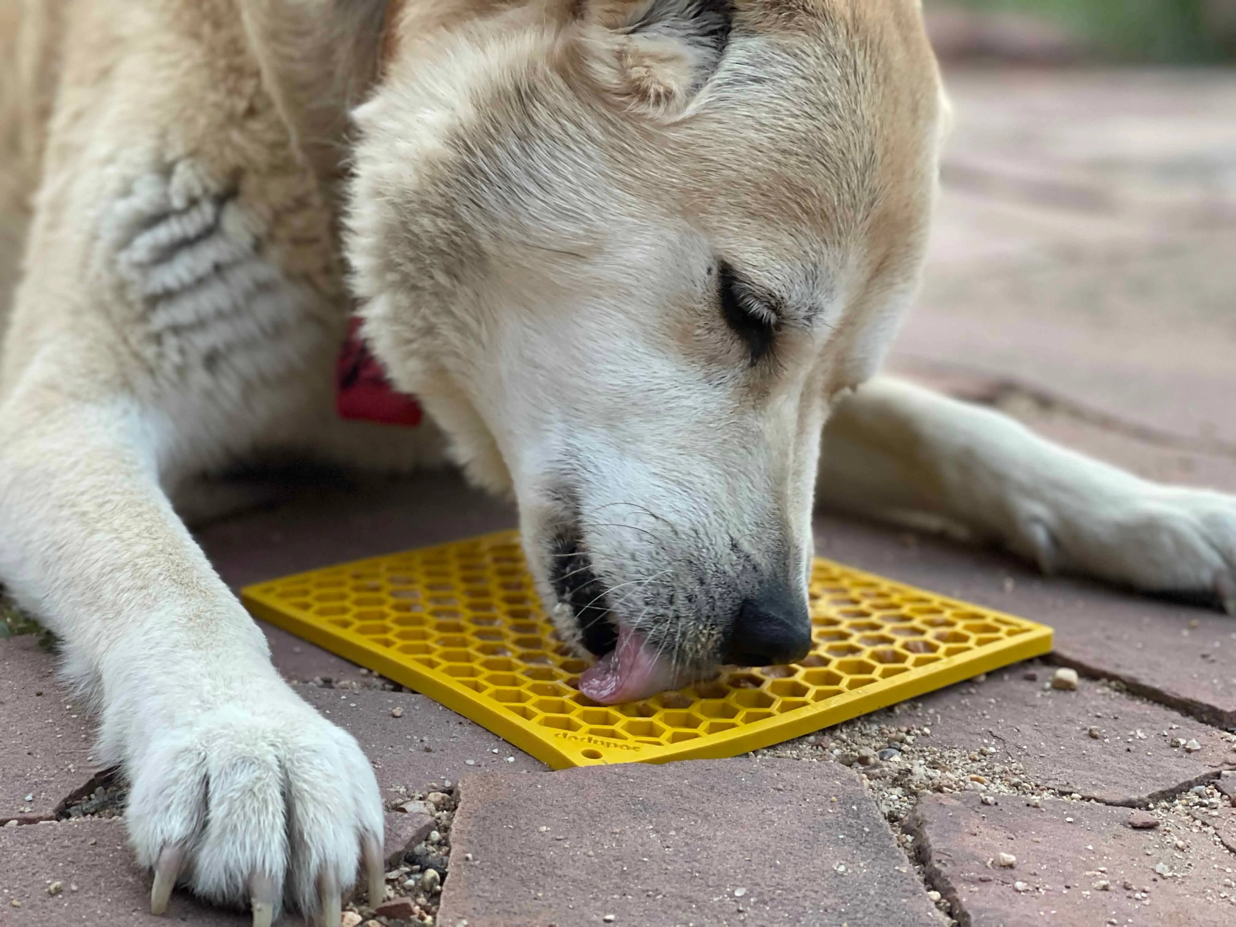 Yellow Honeycomb Slow Feeder Lick Mat for Dogs